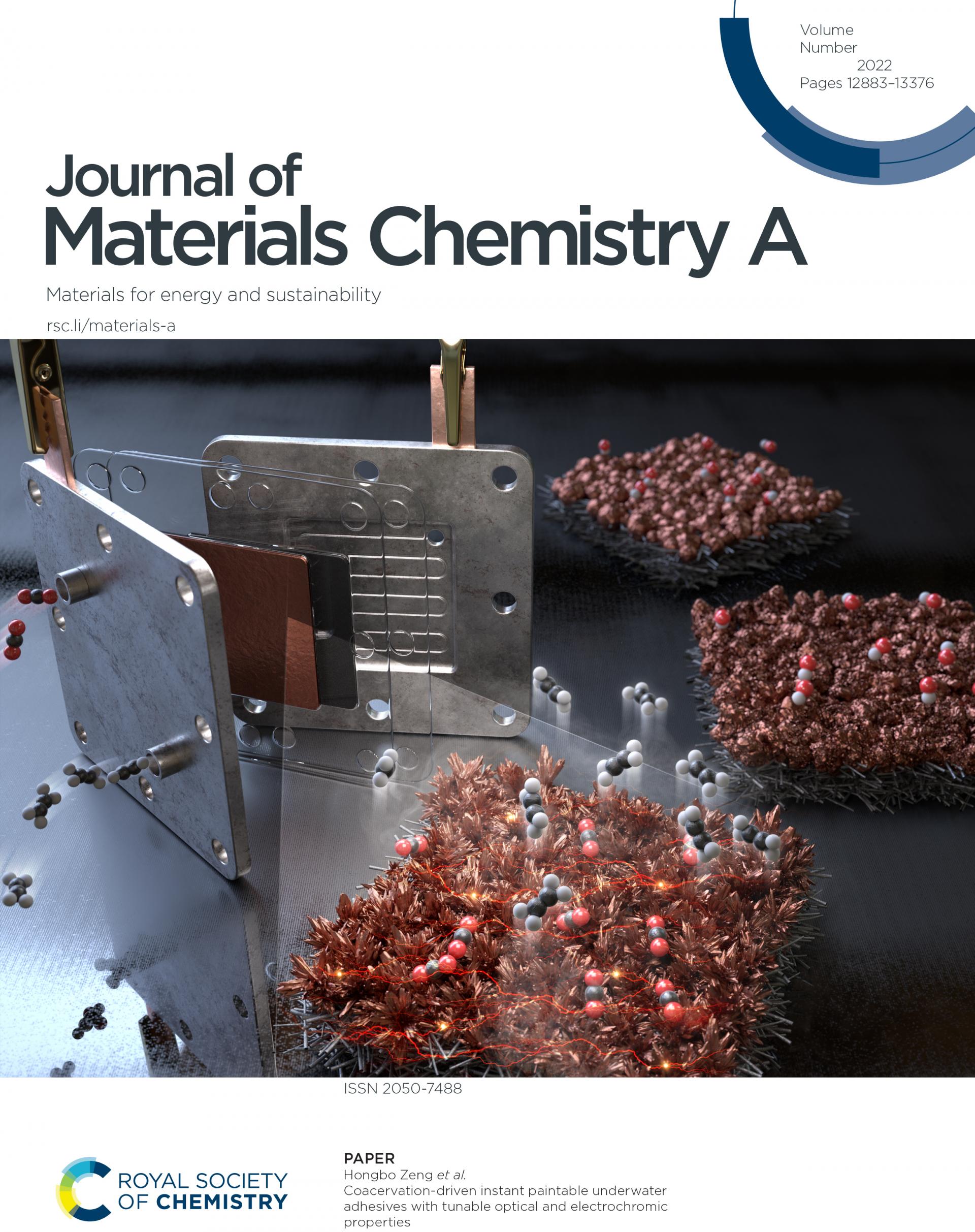 Microenvironments of Cu catalysts in zerogap membrane electrode assembly for efficient CO2