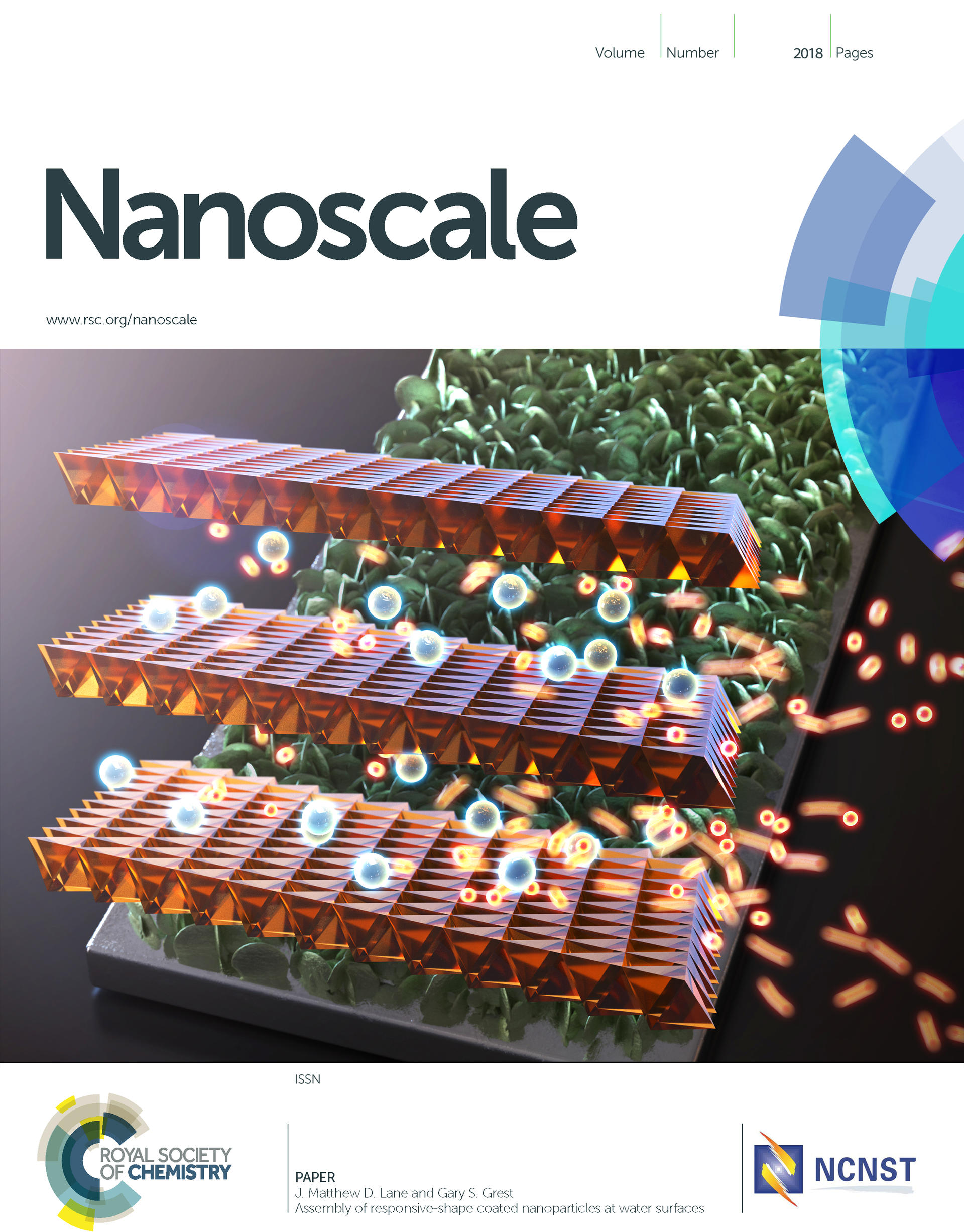 Direct growth of 2D nickel hydroxide nanosheets intercalated with