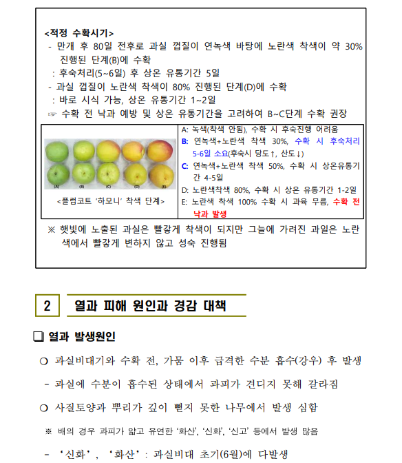 061e1df806494.png
