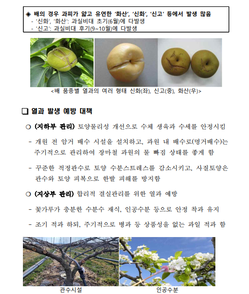 09bee811c338f.png