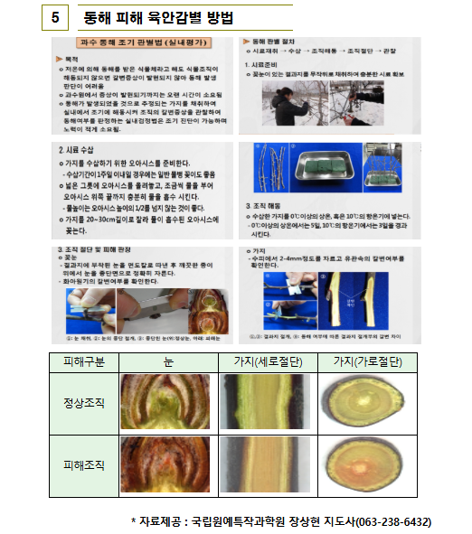 970733fb7dbd4.png