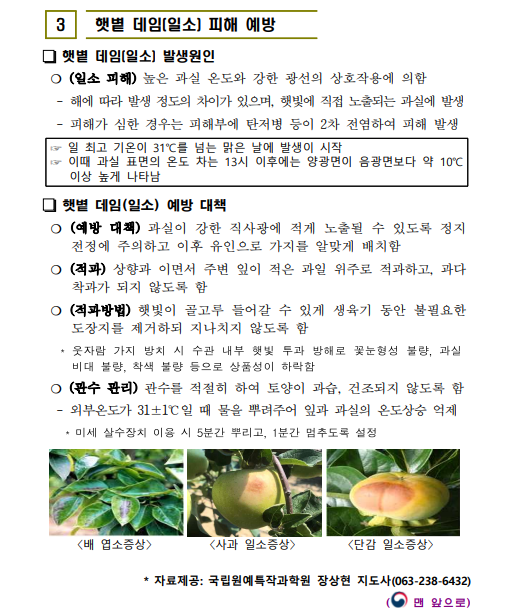 d68a2ac6072b8.png