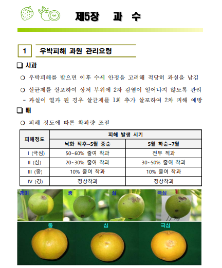 dfe0d7312b371.png