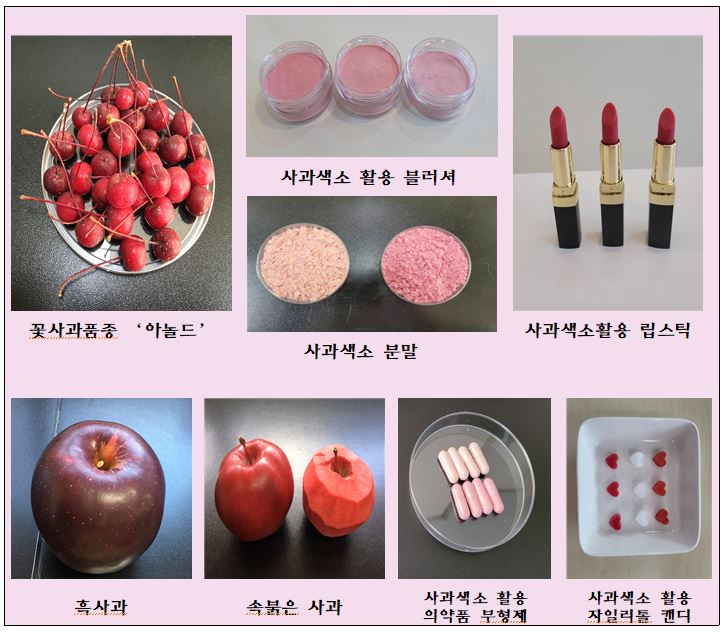 폐기되는 사과 껍질과 꽃사과, 천연색소 소재로 활용 : 한국사과연합회