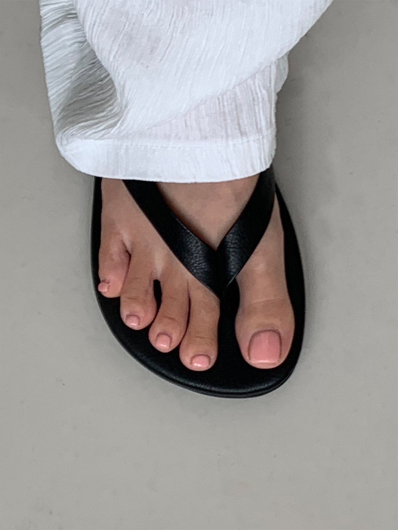비비드 조리