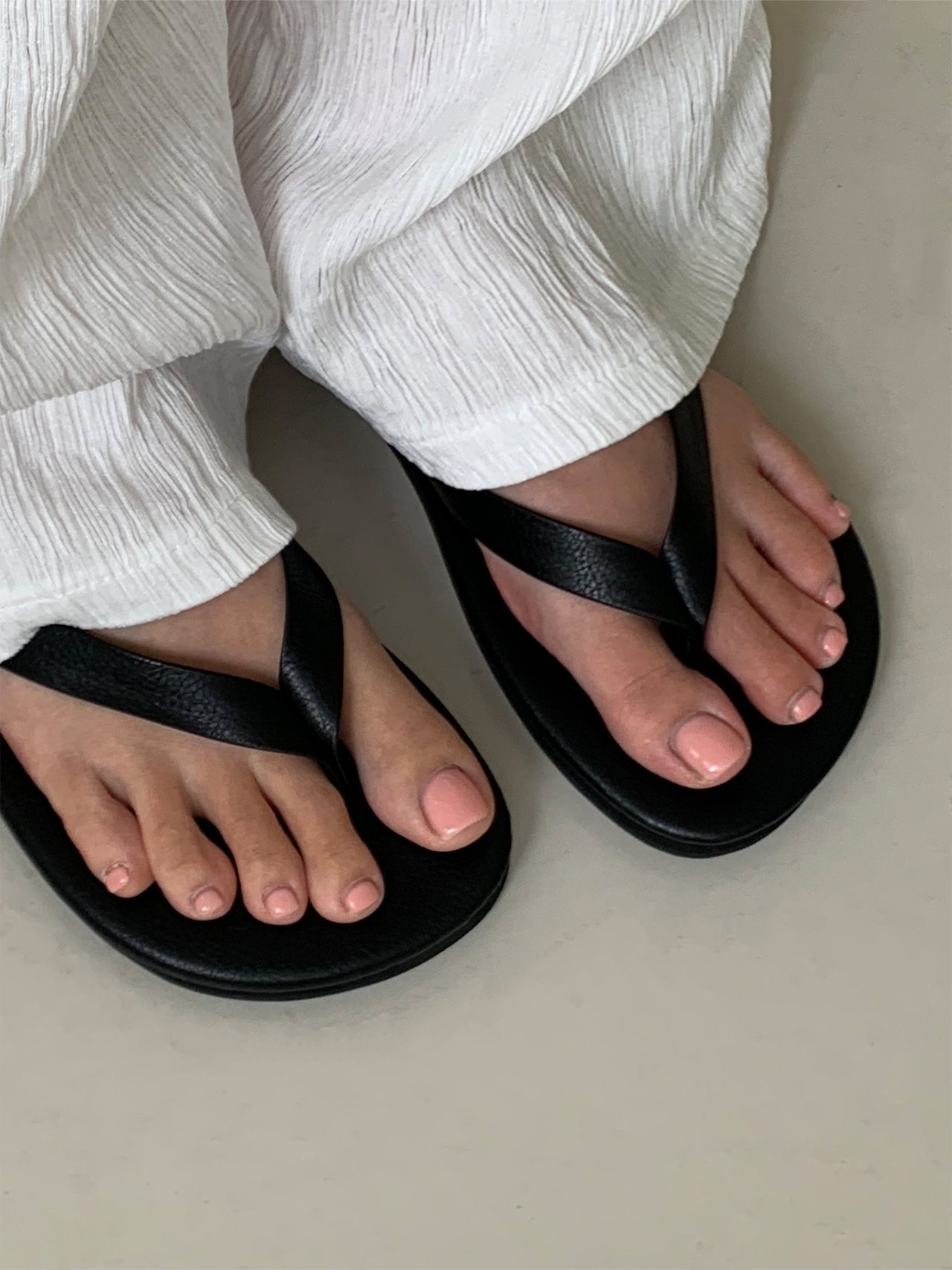 비비드 조리