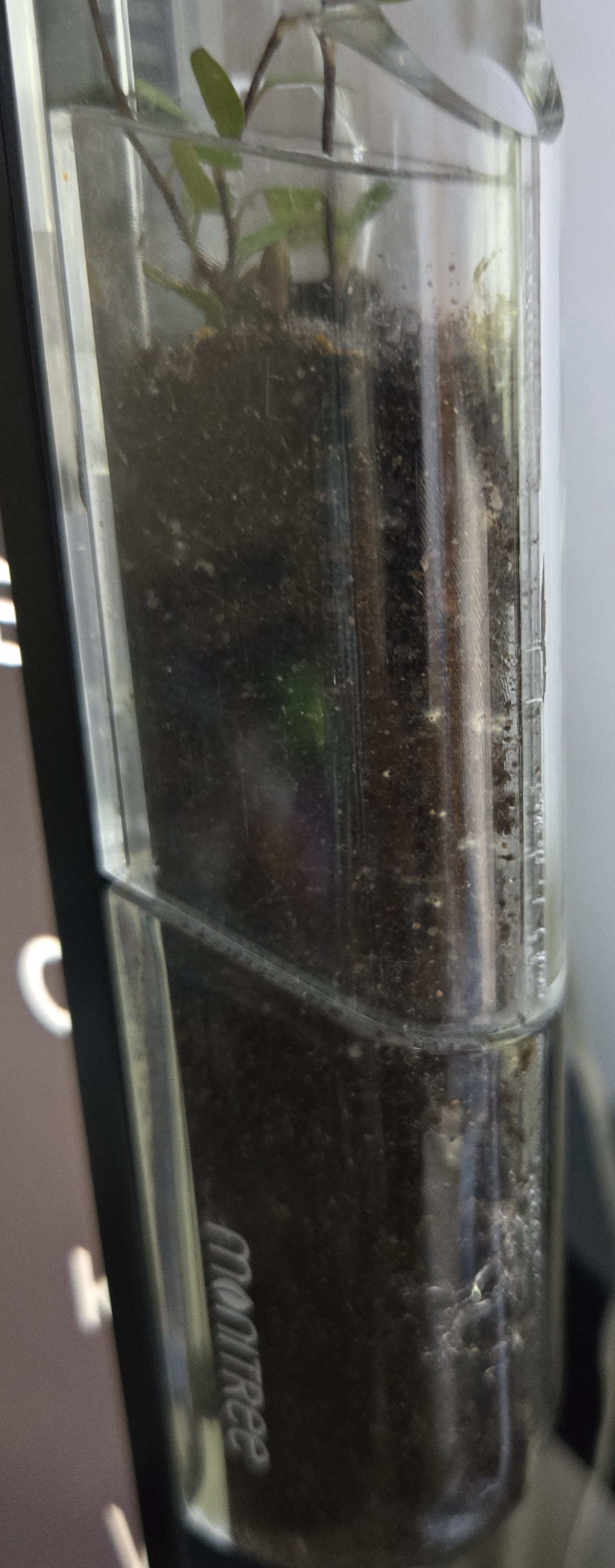 13f1dfc8345f5.jpg