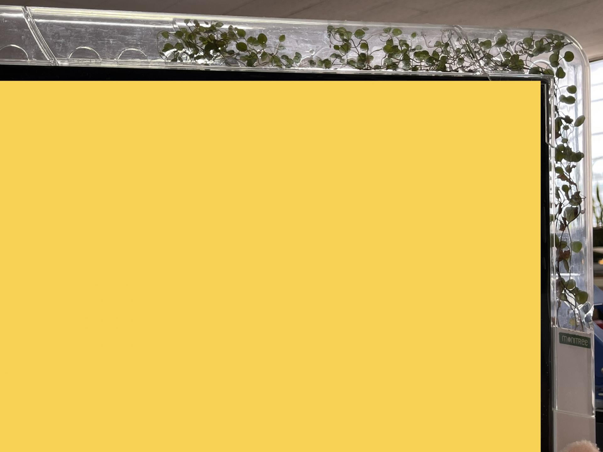 209dcc606c3c3.jpeg