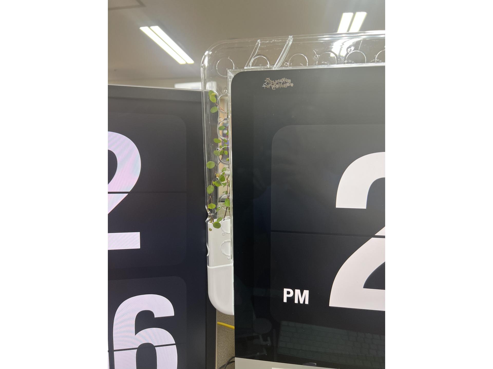 2a6625d351541.jpeg