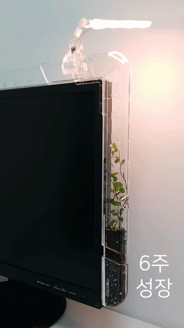 Mini Monitree+식물 전용 조명