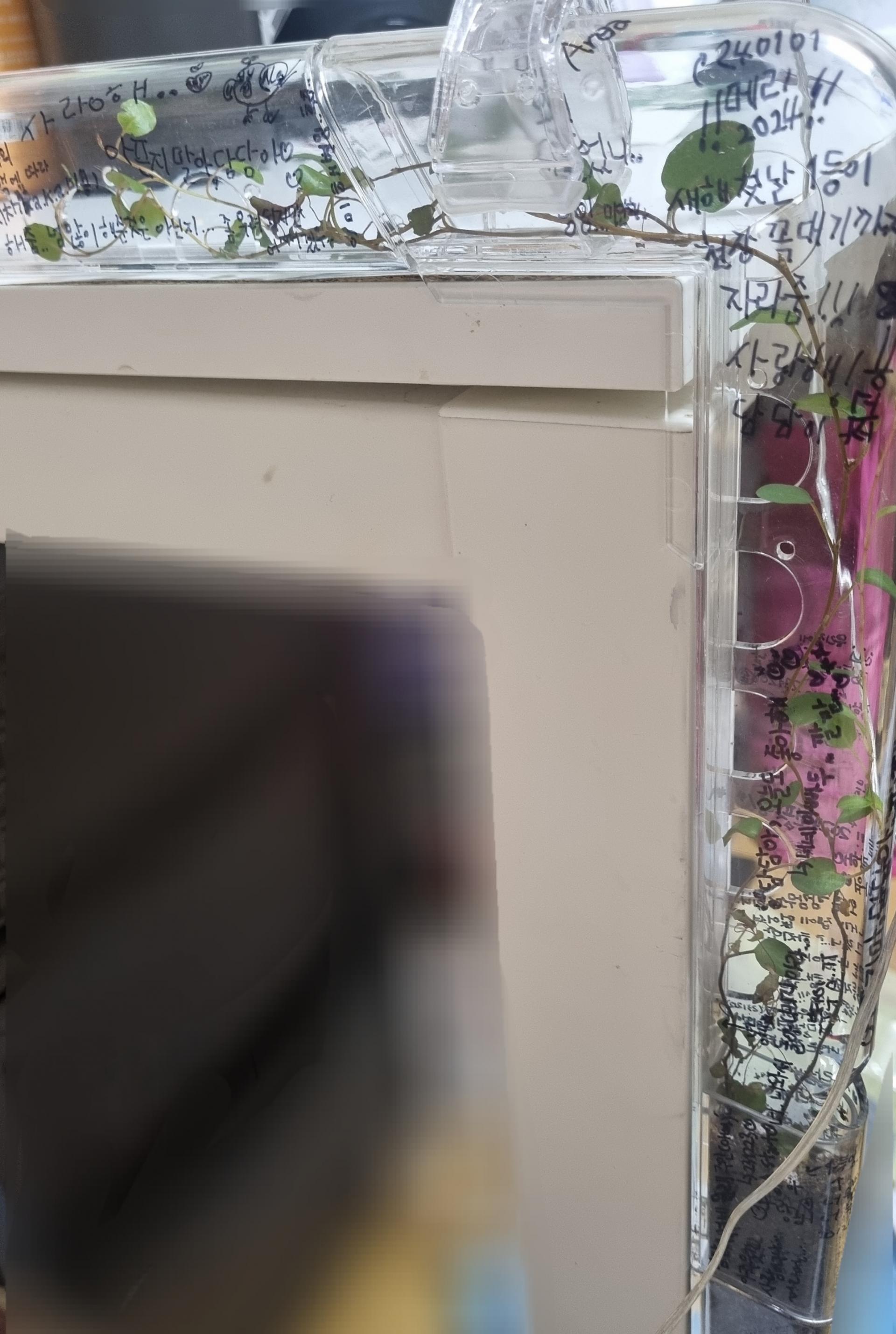 79088366e509a.jpg