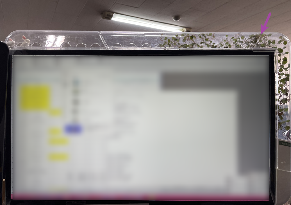bc152040e4f64.png