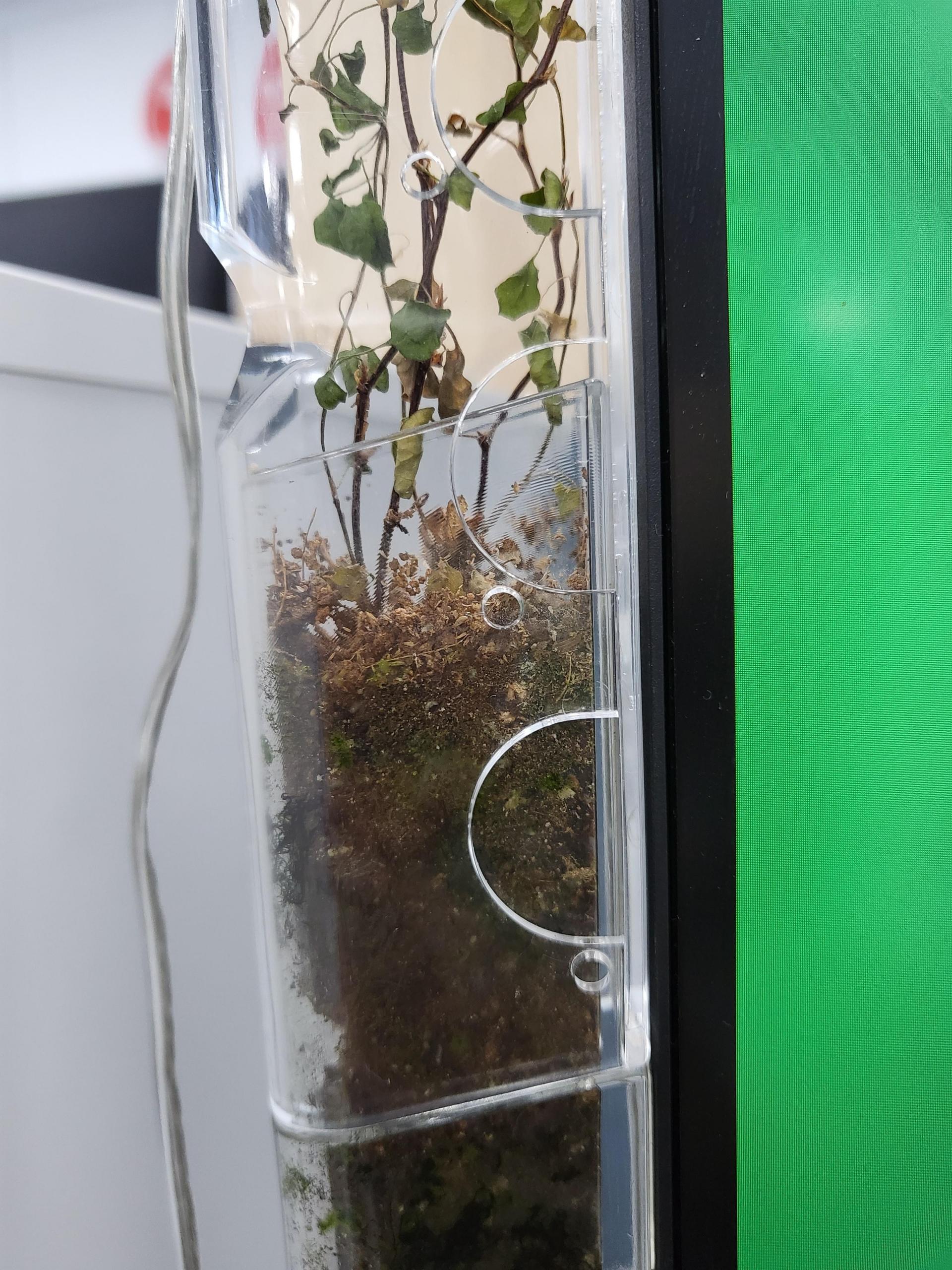 c9048bdeeae49.jpg