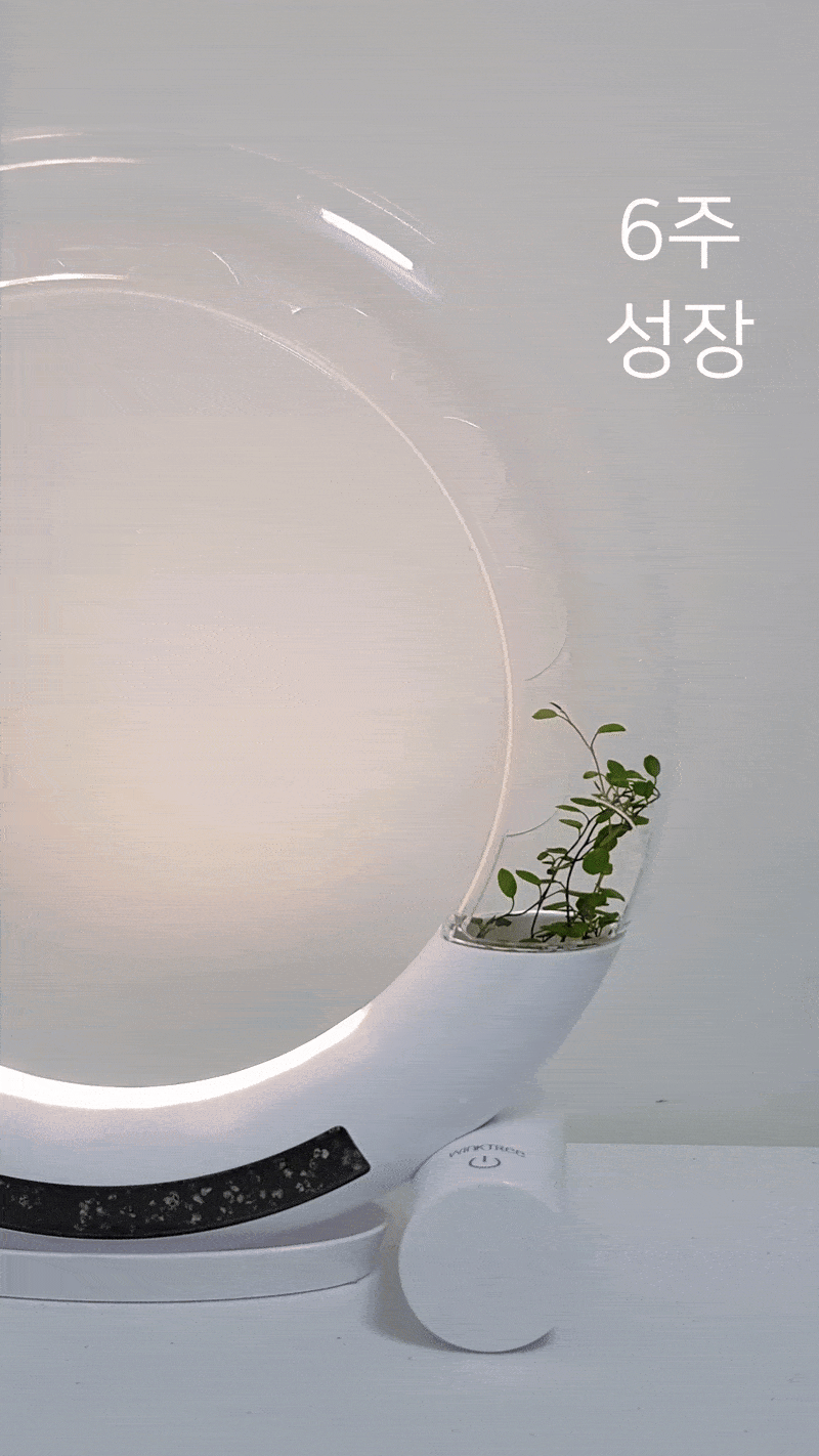 식물 조명 화분 - WINKTREE