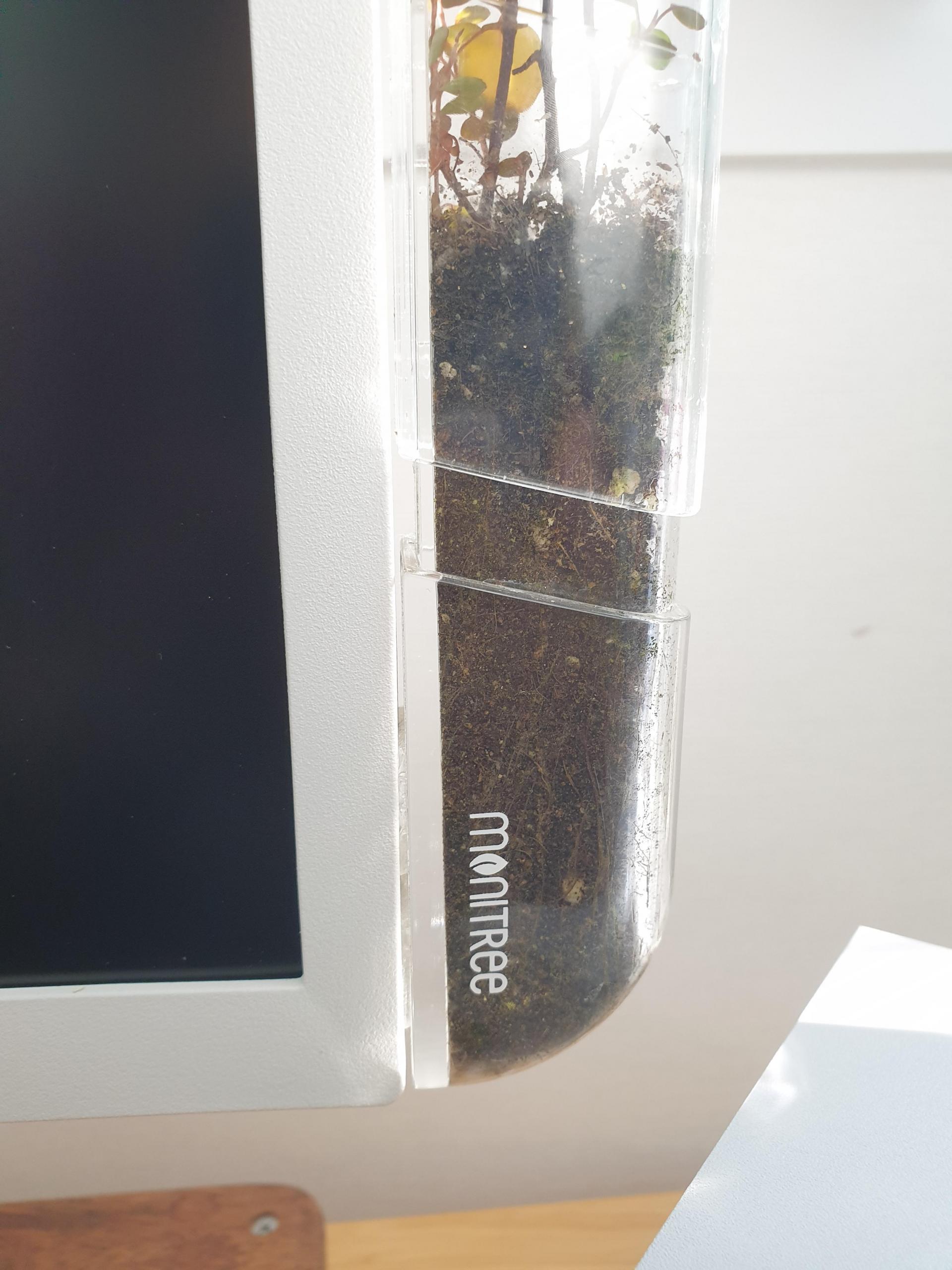 f77007363f177.jpg
