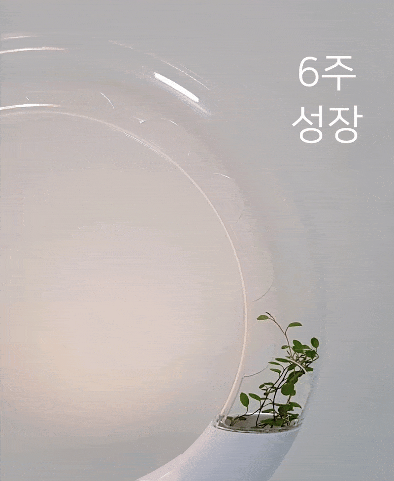 플랜테리어 화분 - WINKTREE