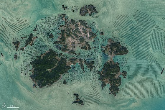 전남 완도군 노화도 주변 해조류 양식장을 촬영한 인공위성 사진. [미 항공우주국(NASA)]