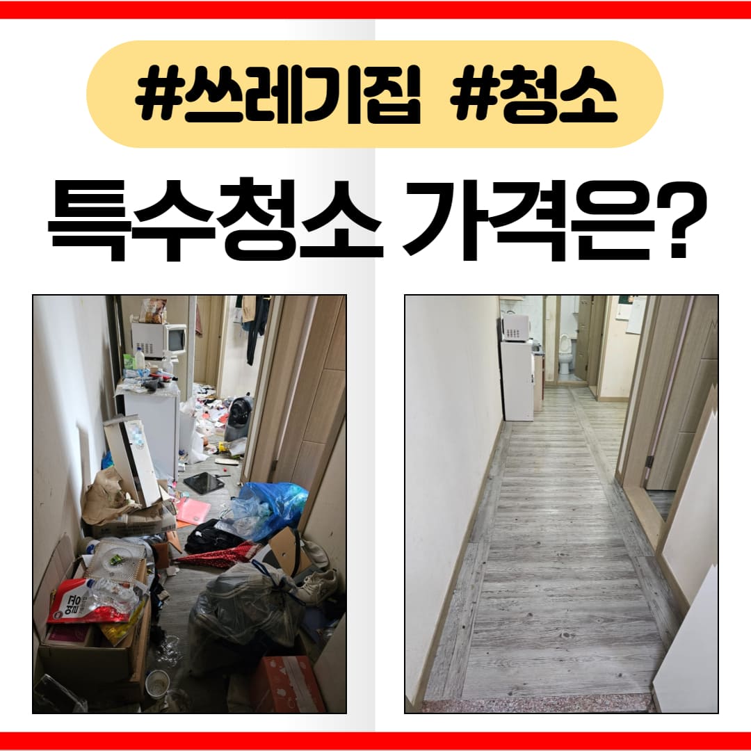 우아한정리 광주 특수청소 업체 리뷰와 가격 알아보기