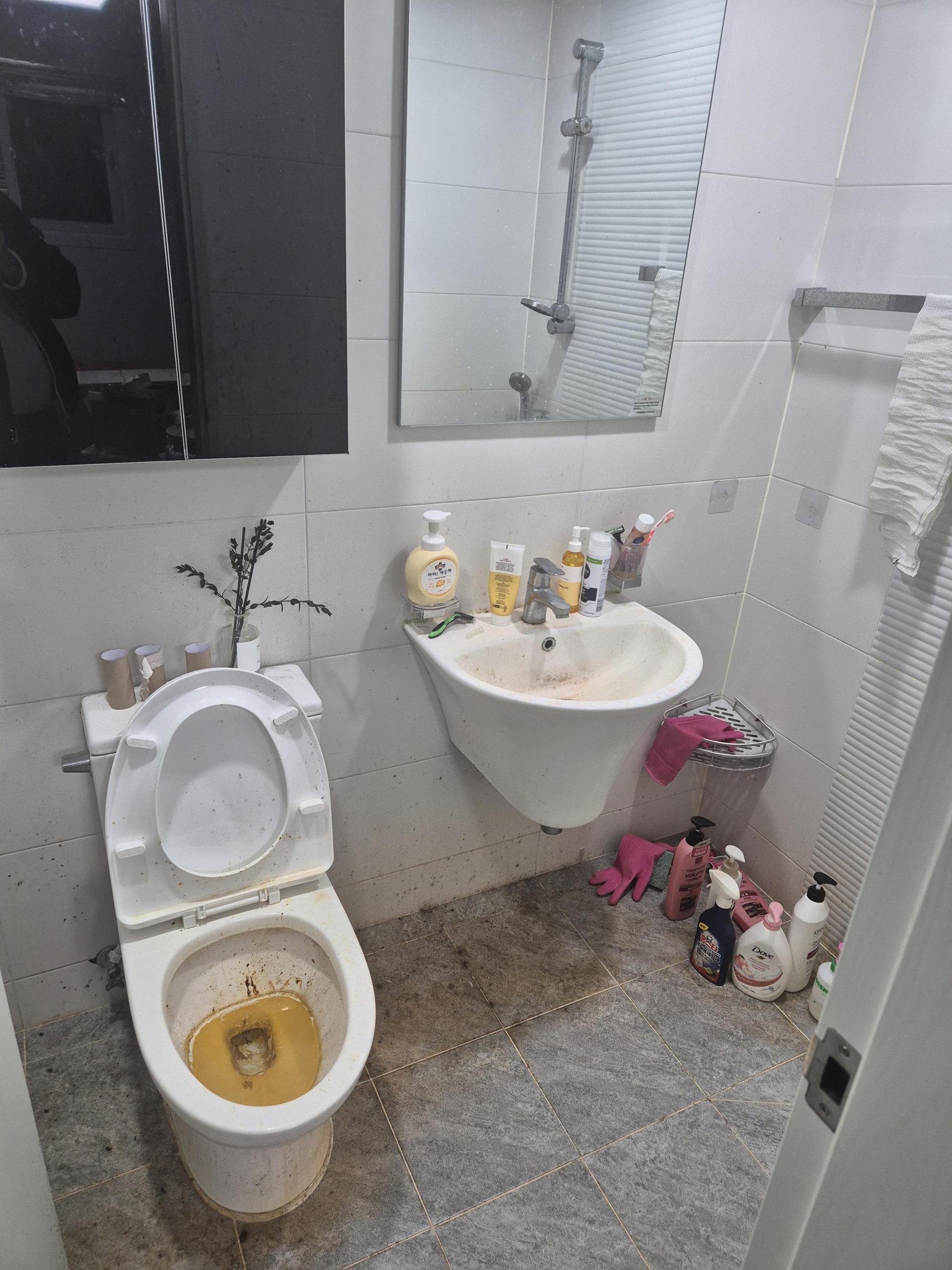 review_064db1c6_image_1.jpg