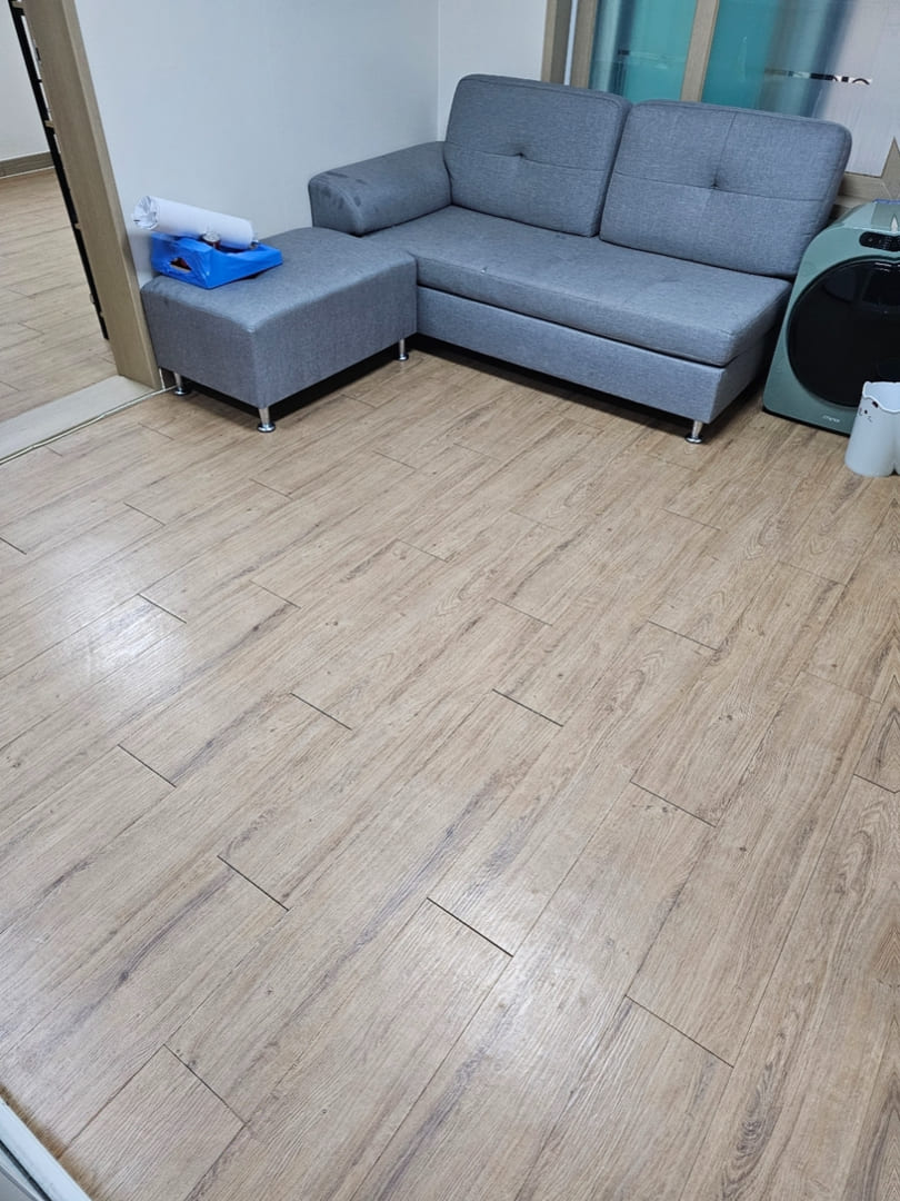 대전 쓰레기집 거실 청소