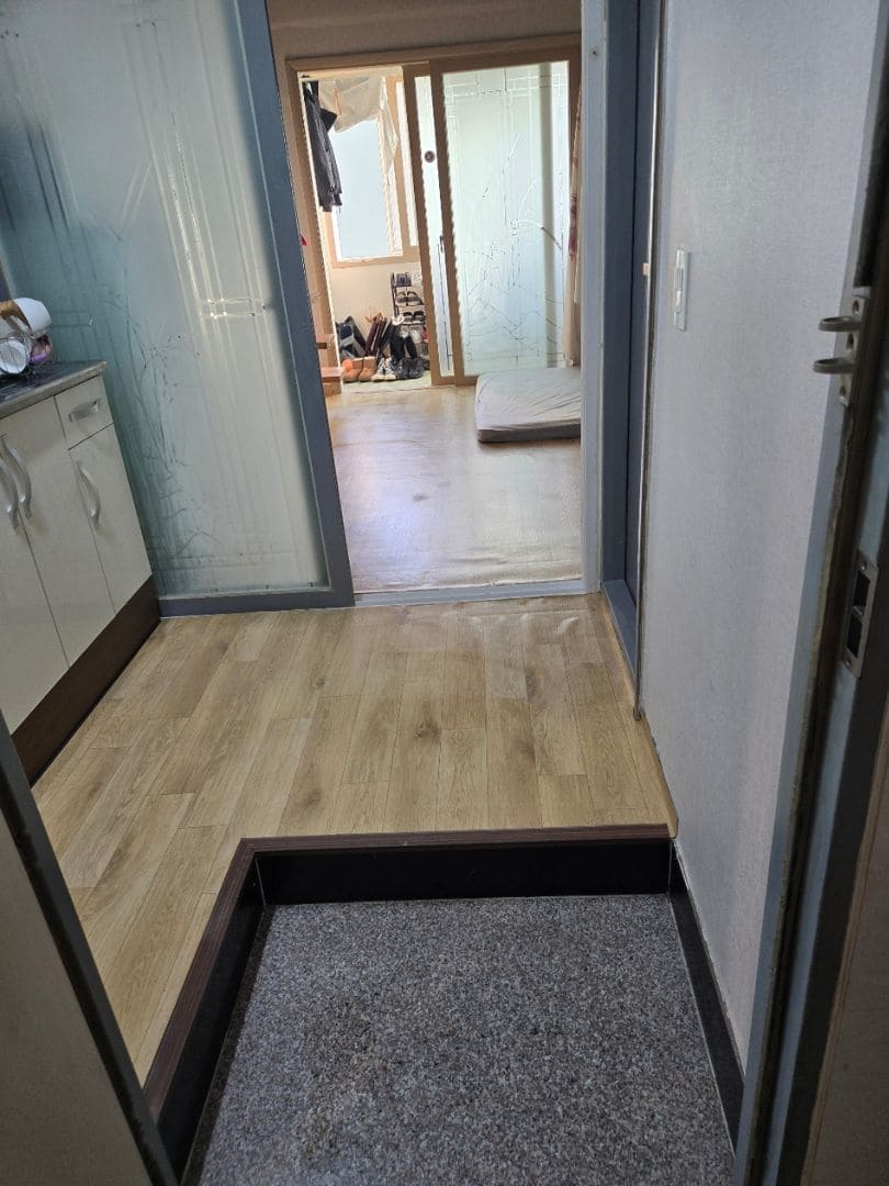 쓰레기집 현관문 특수청소