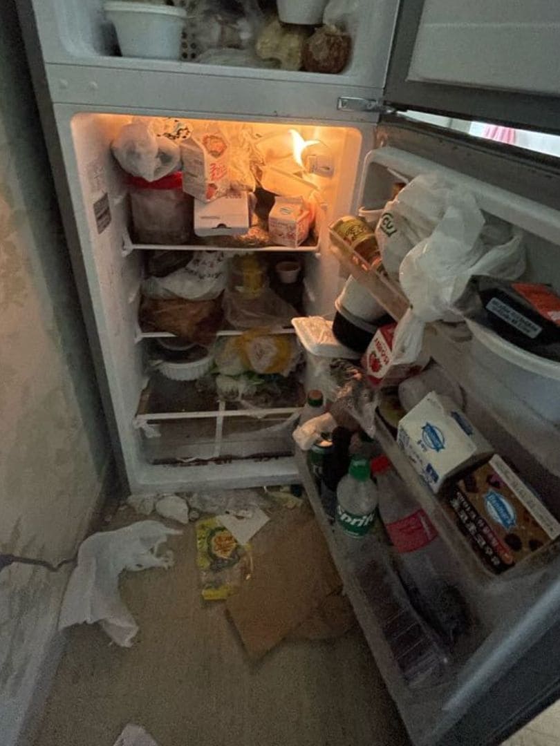 쓰레기집 심리 원인 저장강박증 냉장고 