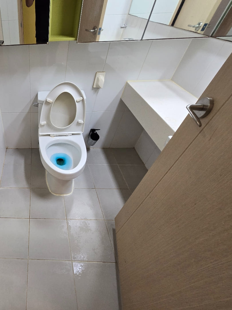 부산 쓰레기집 화장실 청소