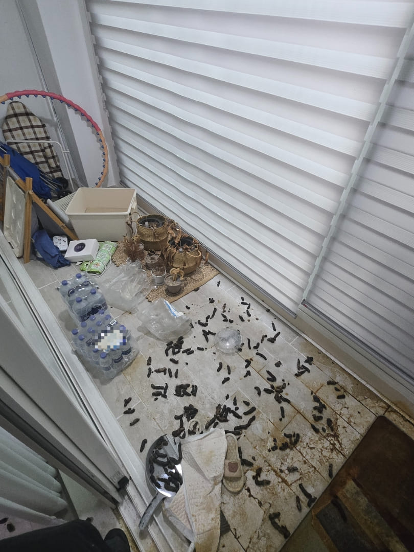 김해 주촌면, 집쓰레기청소 전문 서비스 등장! 작업전 이미지