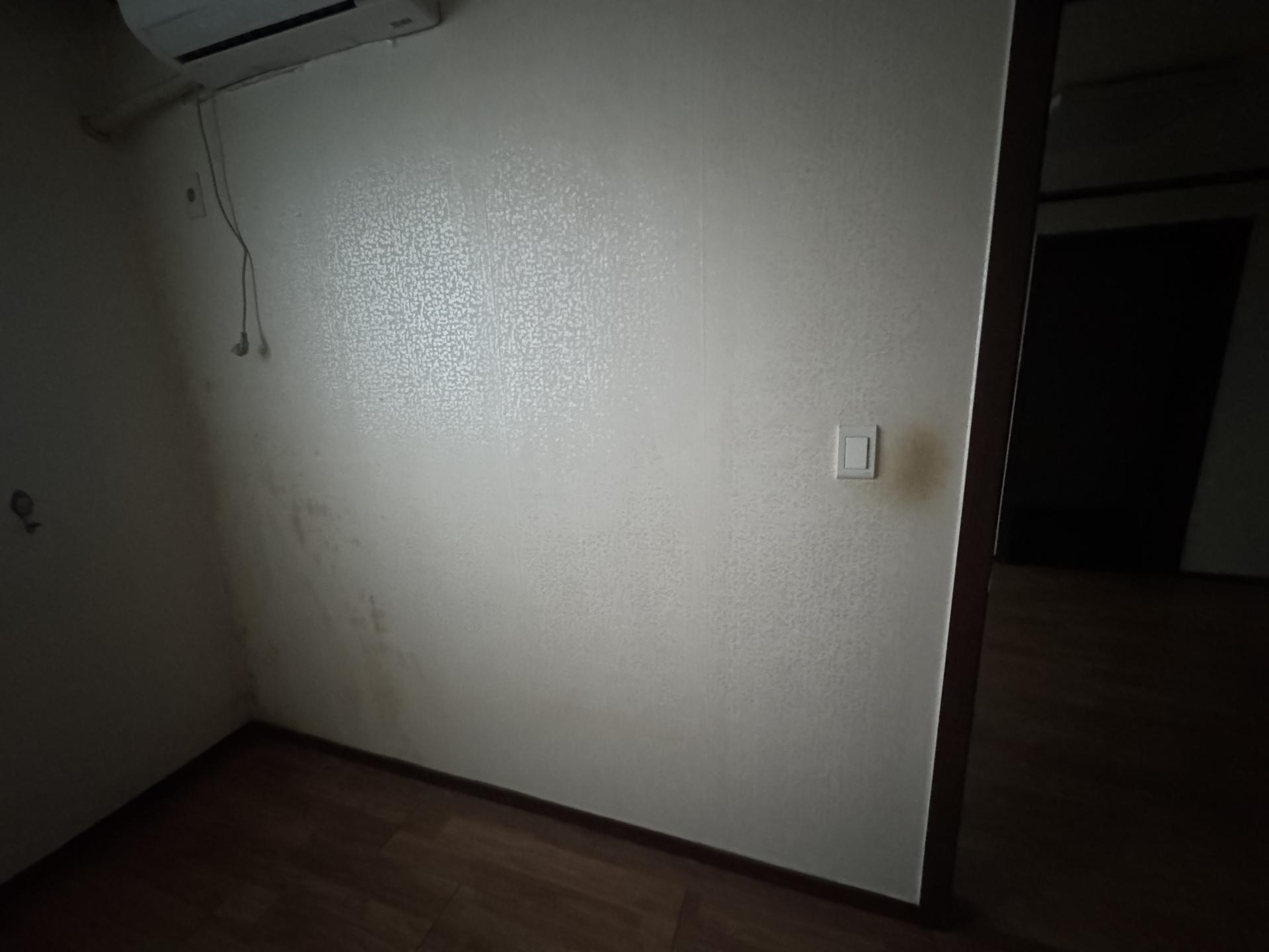 2d838bca82751.jpeg