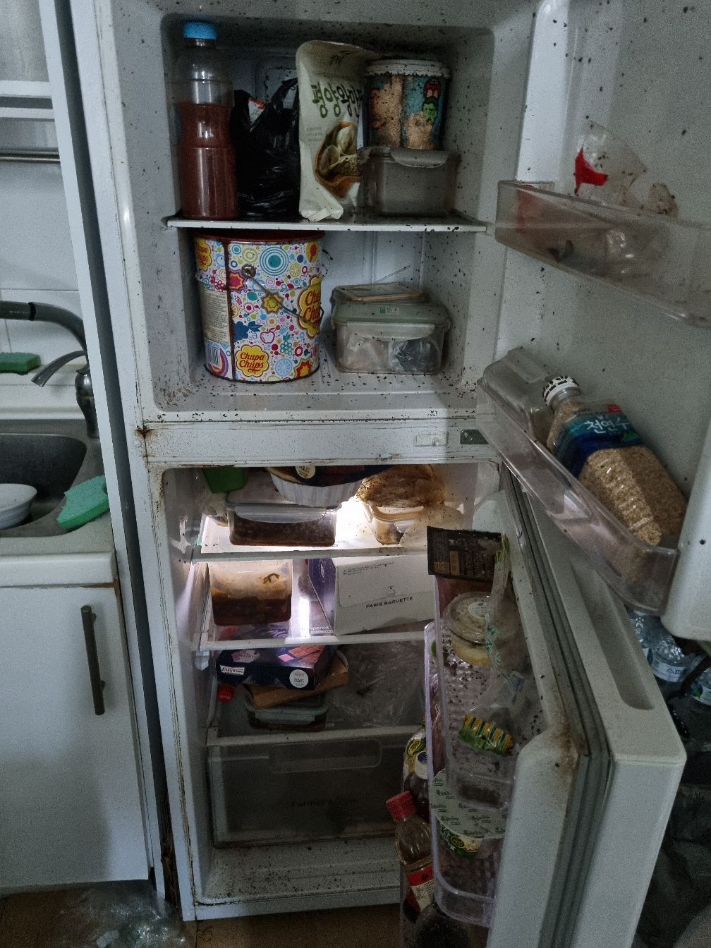 오염된 냉장고