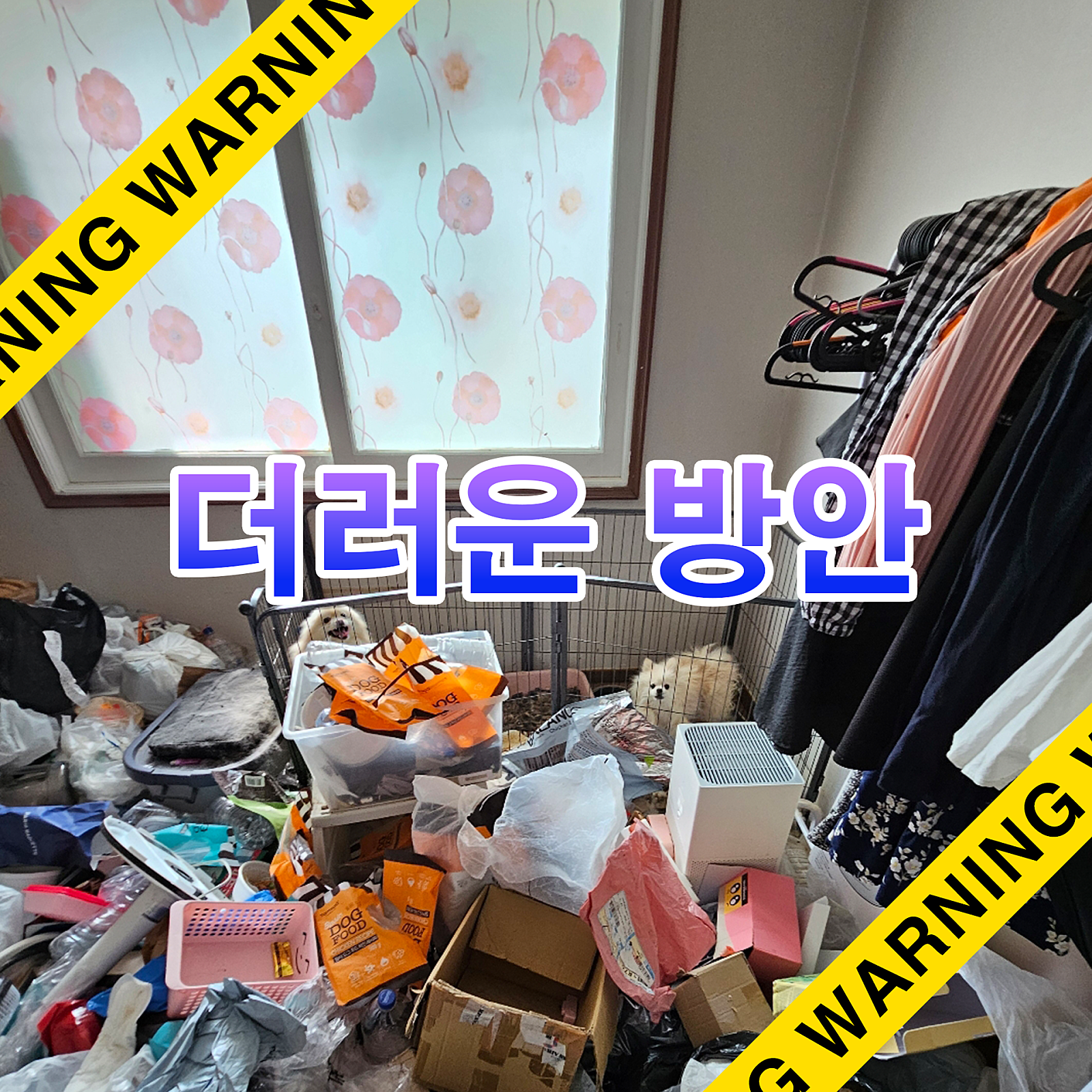 공통이미지