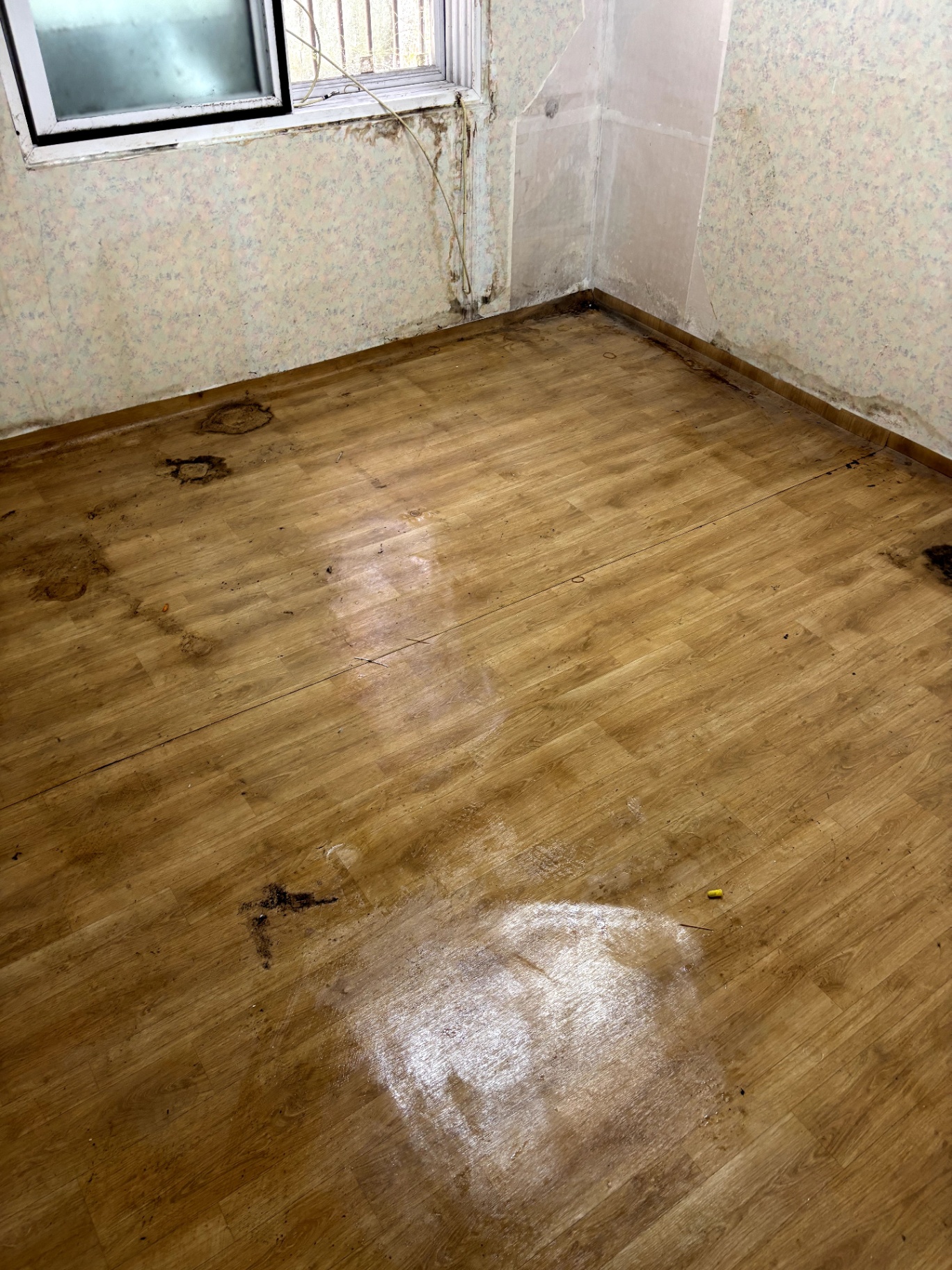 review-post-1780587382795-ytb39k1qw7a.jpg
