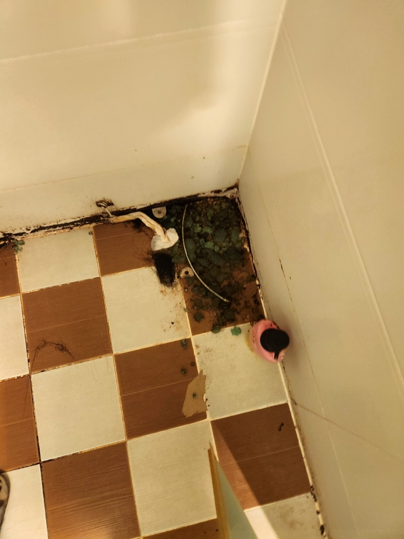 화장실 바닥 오염물질