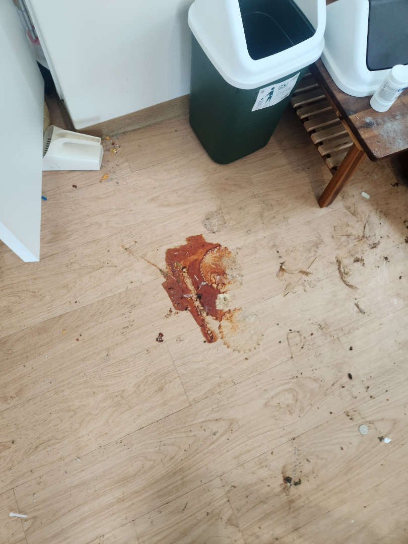 쓰레기집 바닥 오염물질
