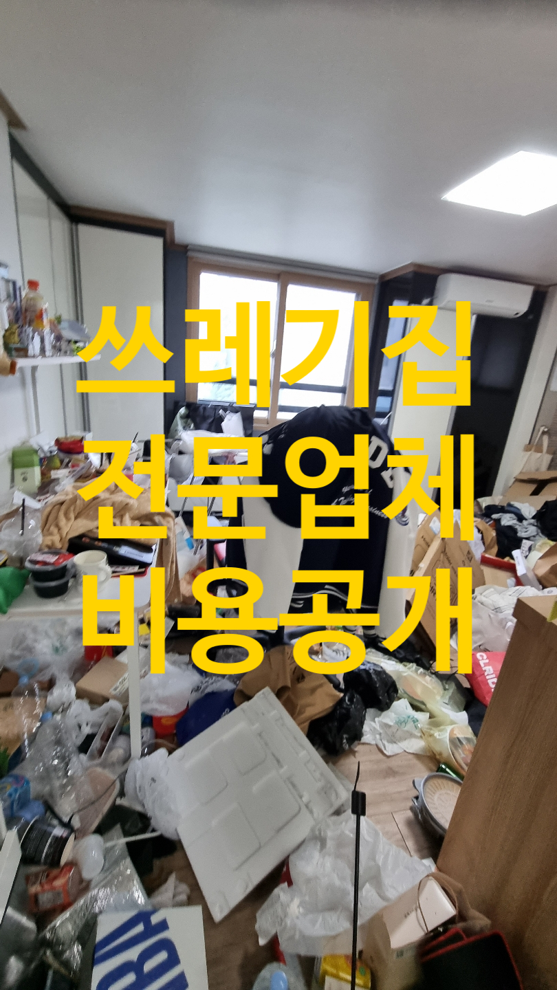 대전쓰레기집청소 전 1