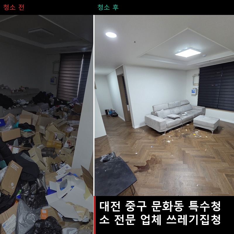 문화동 쓰레기집청소 비용 업체 후기