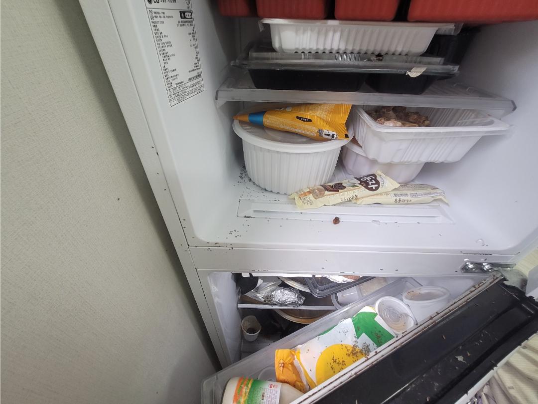 대구 쓰레기집 냉장고