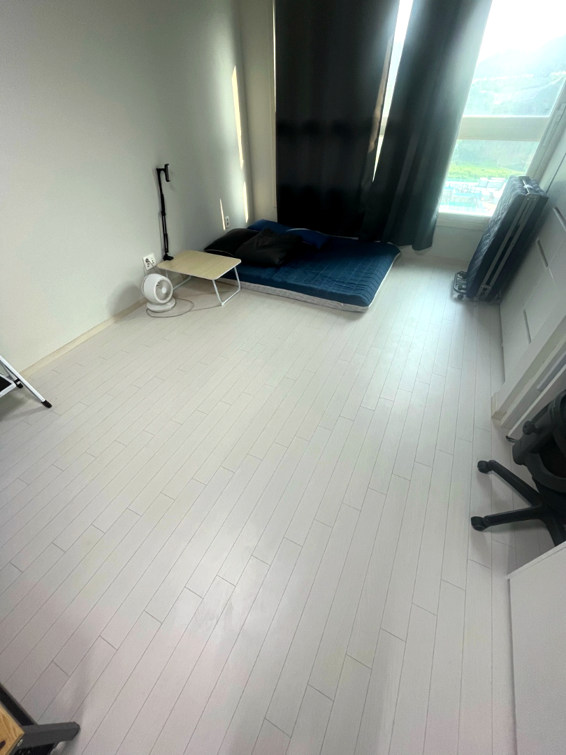 부산 쓰레기집 청소