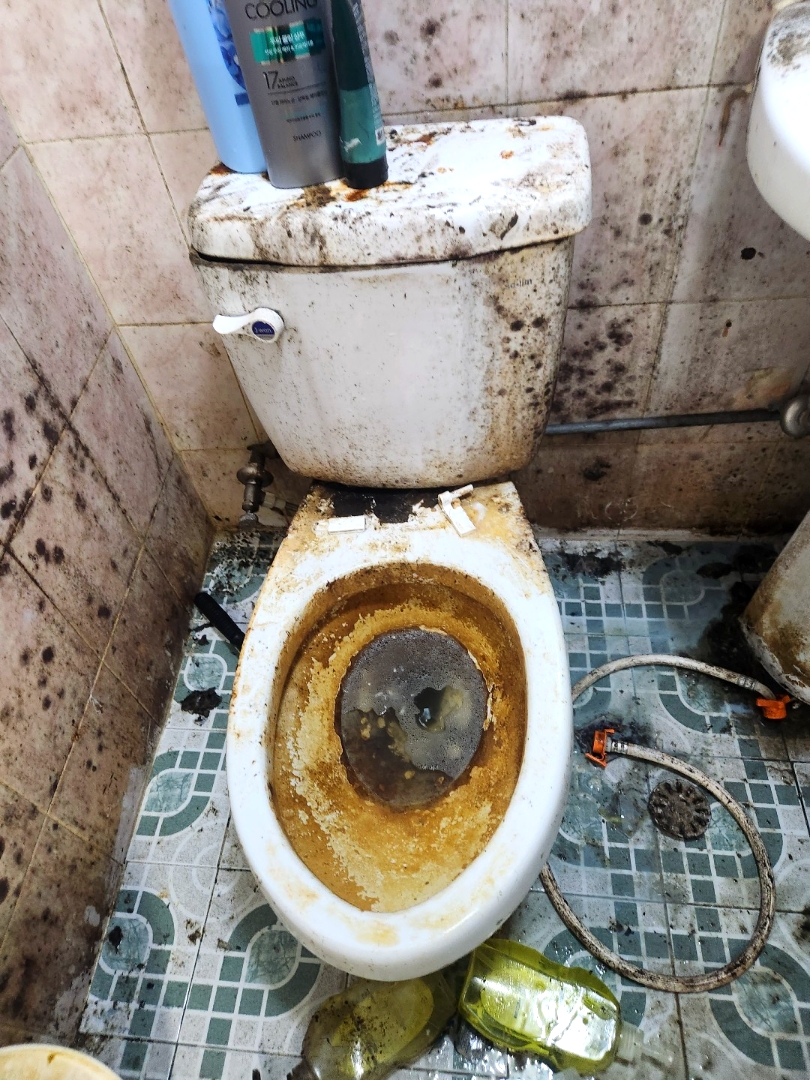 우정(우아한정리) 오염된 변기