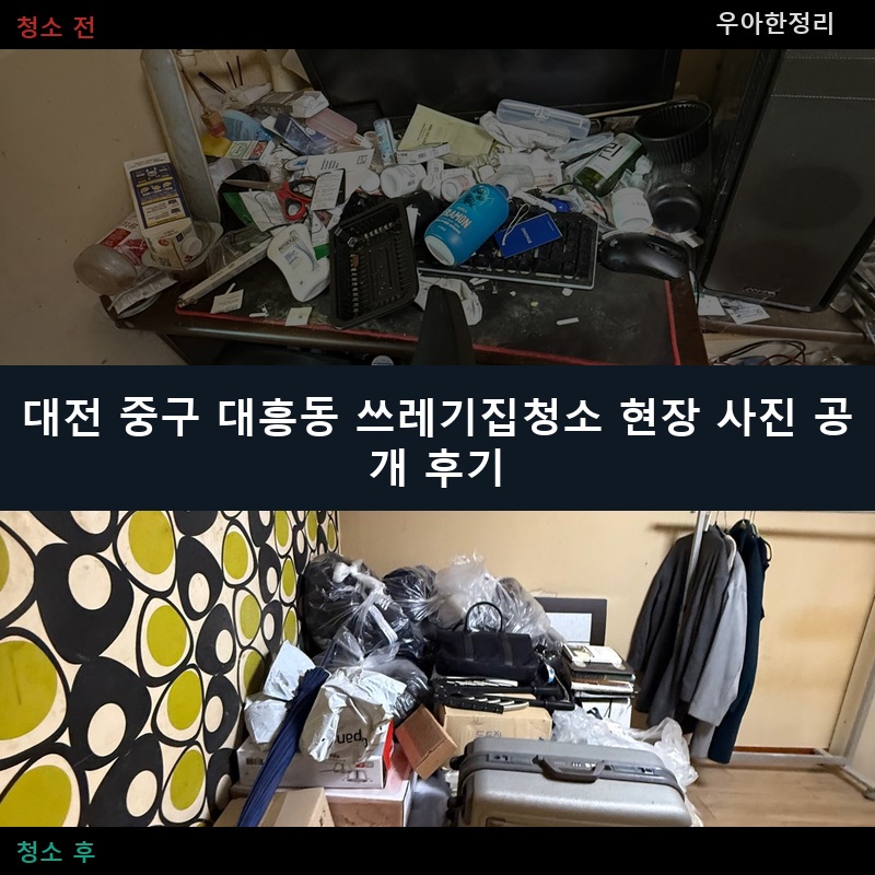 대흥동 쓰레기집청소 비용 업체 후기