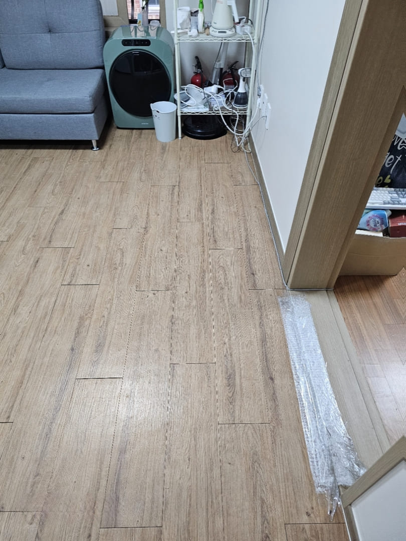 대전 쓰레기집 입구 청소