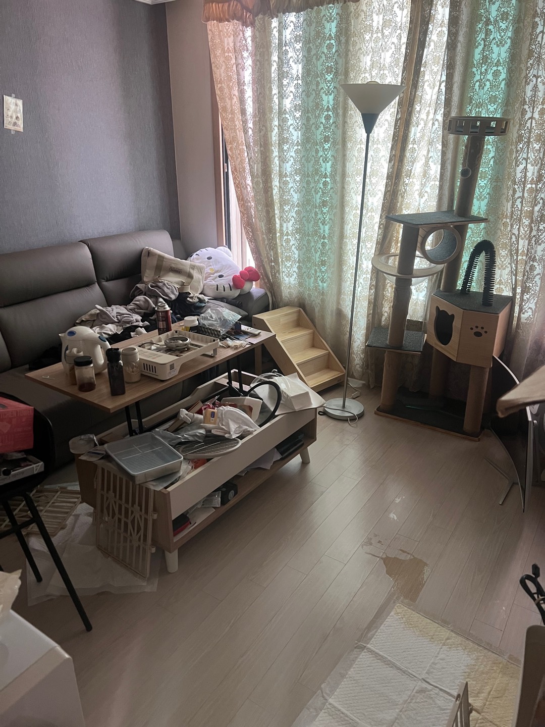 대화동 쓰레기집청소 거실 - 물건에 파묻혀 있었어요