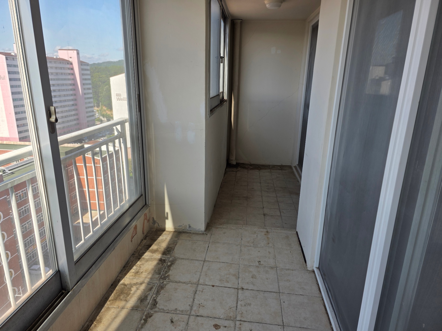 review-post-1780594756082-r509vme2j6.jpg