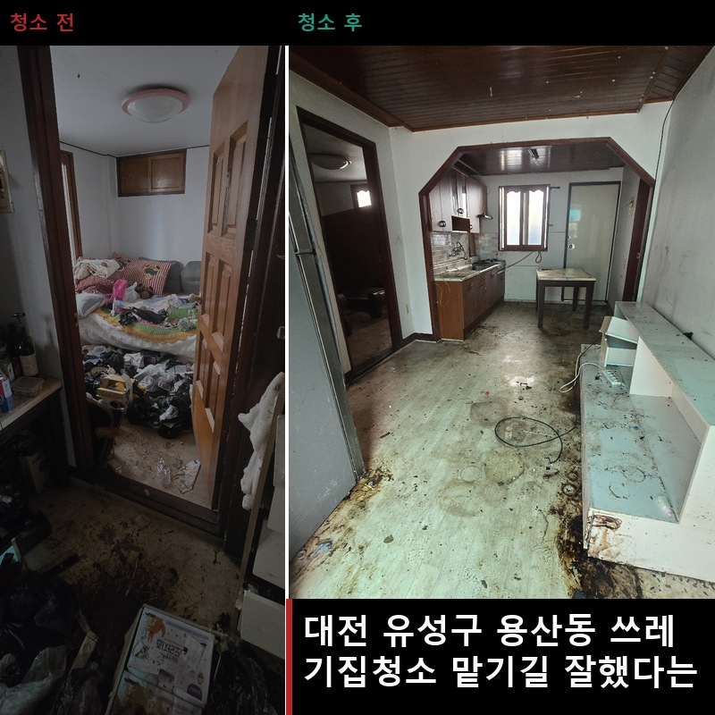 용산동 쓰레기집청소 비용 업체 후기