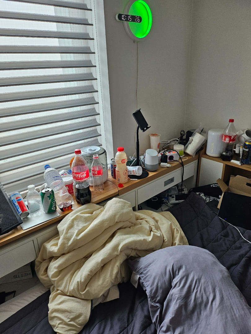 안산 쓰레기집 안방 침대 수납장