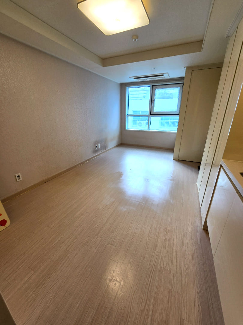 부산 쓰레기집 청소