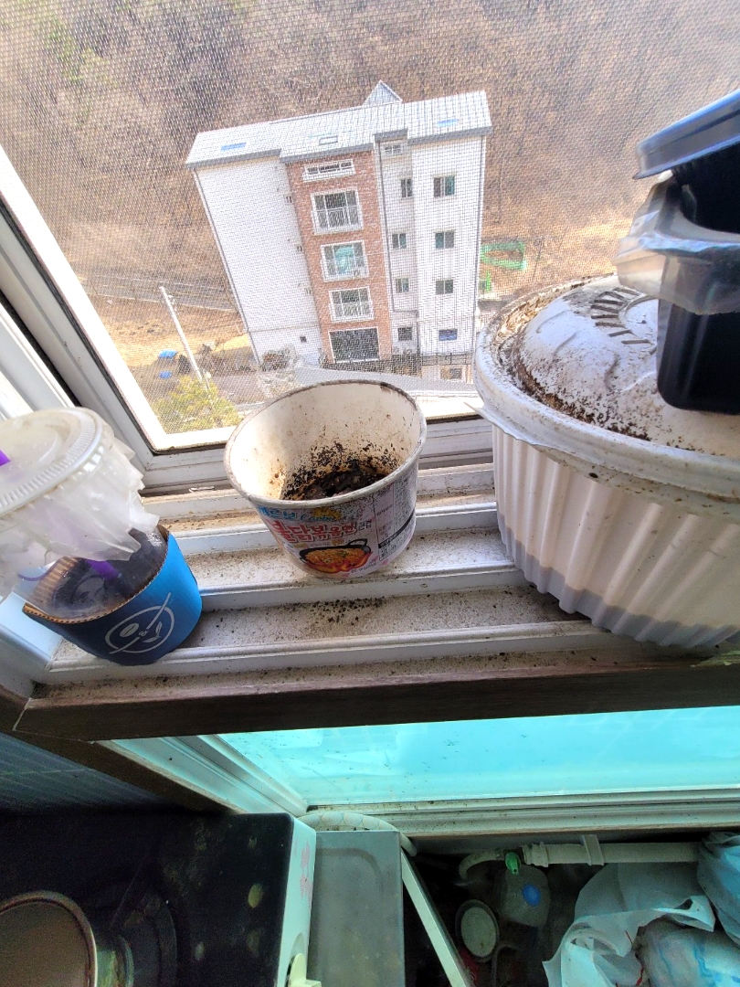 쓰레기집 창틀
