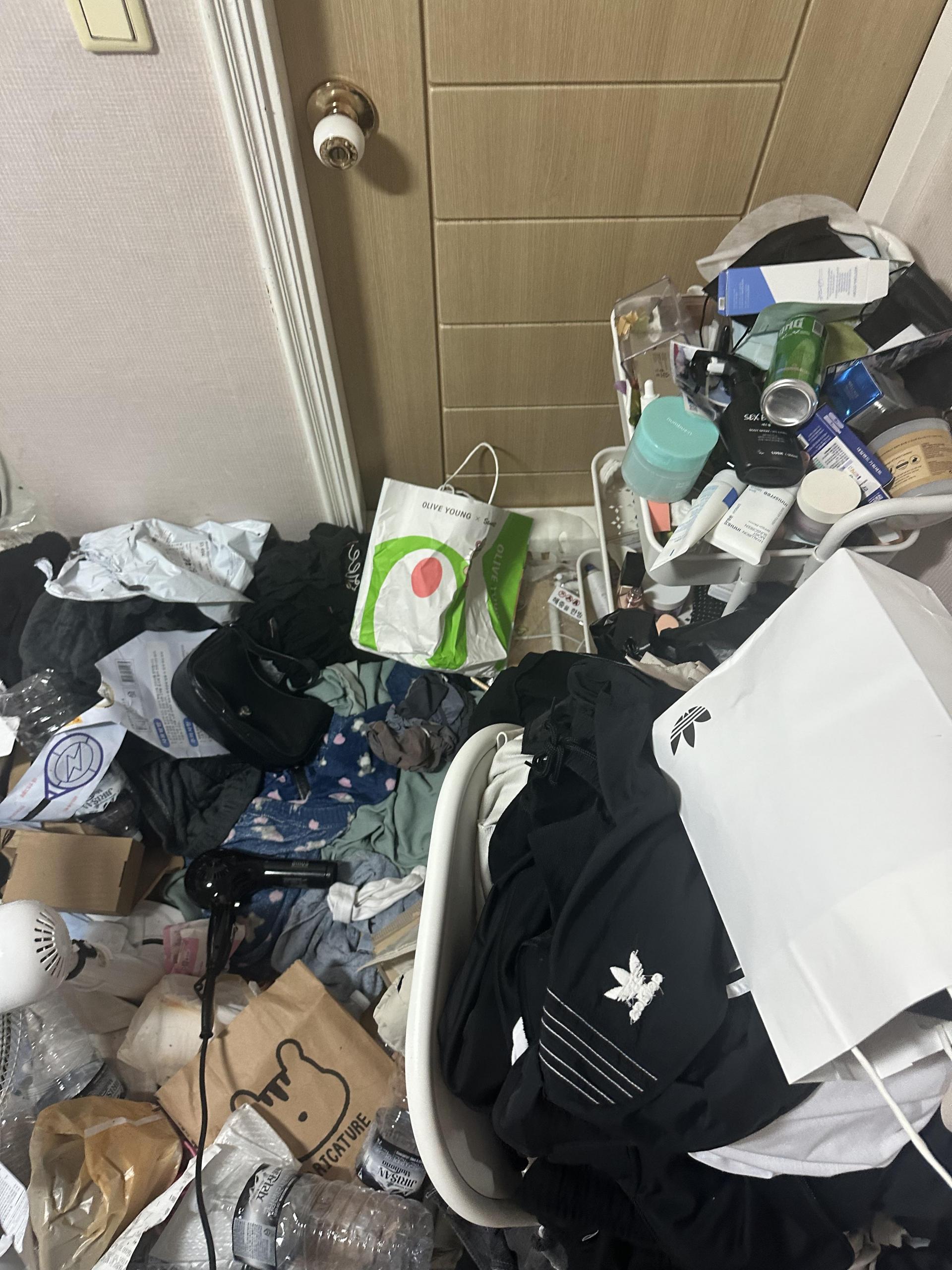 6c03cd47627ca.jpeg
