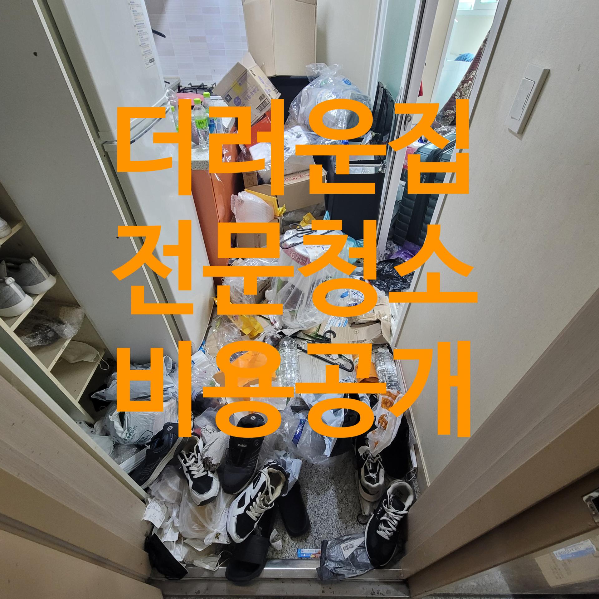 더러운집 청소 전