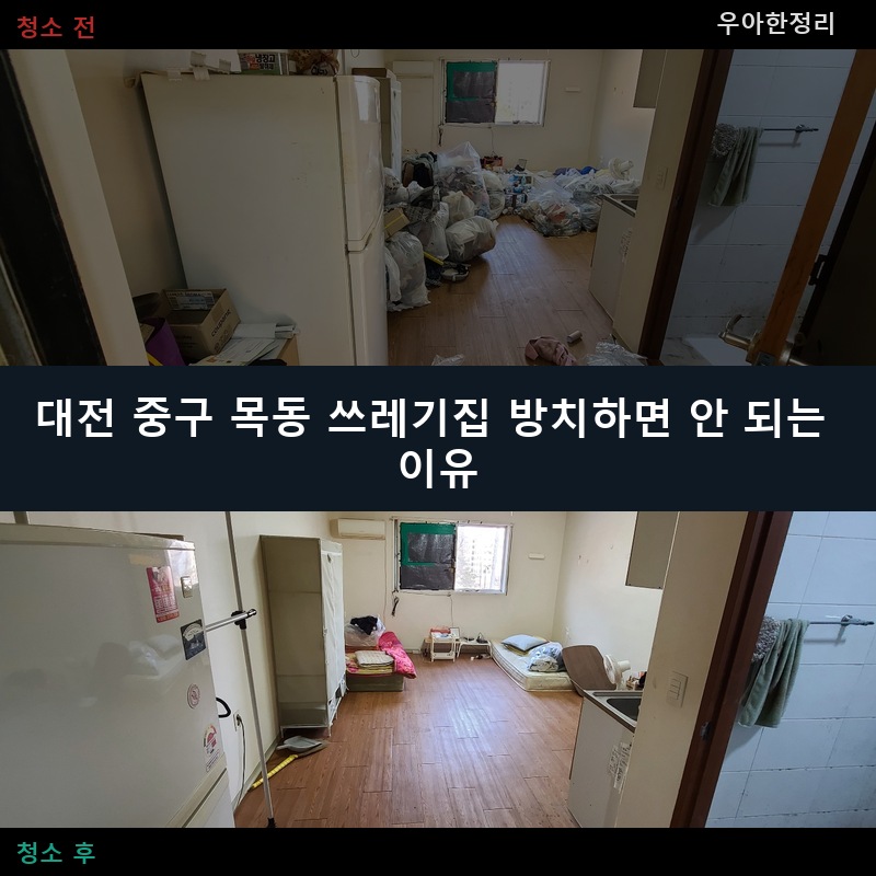 목동 쓰레기집청소 비용 업체 후기